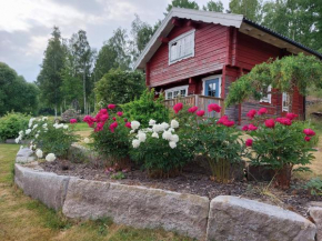 Härbre i Höga Kusten, Ullånger